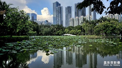 【七月風(fēng)光】七月好風(fēng)光