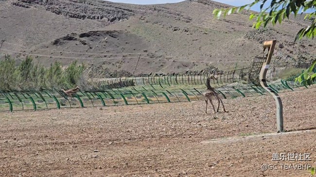 相機(jī)錄像卡頓，畫面顫抖