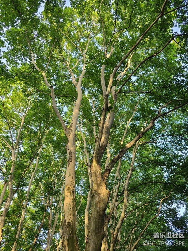 【盛夏光影之旅】夏天光影