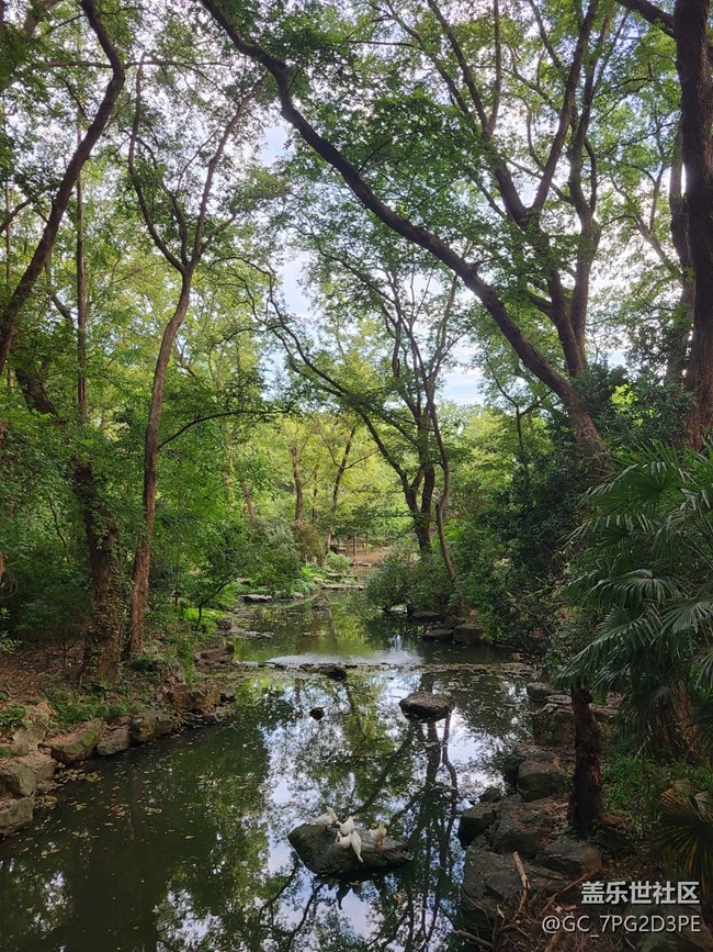 【盛夏光影之旅】夏天光影