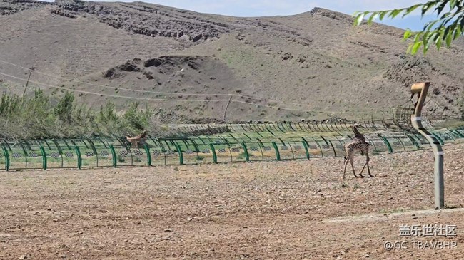 相機(jī)錄像卡頓，畫面顫抖
