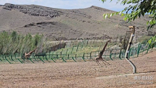 相機(jī)錄像卡頓，畫面顫抖