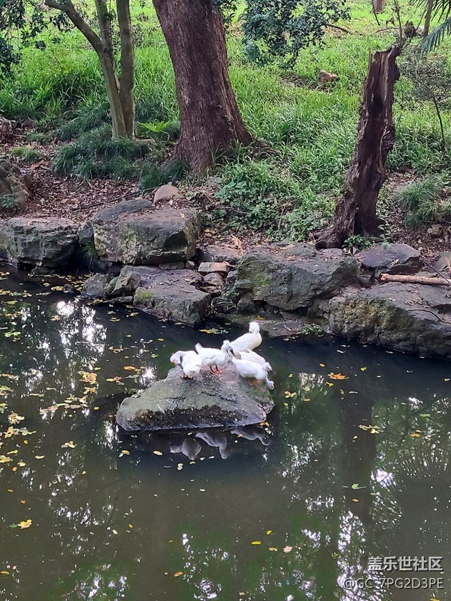 【盛夏光影之旅】夏天光影