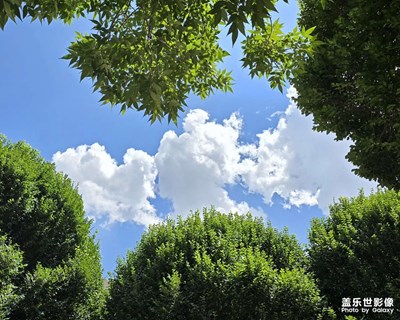 【夏日麗影】+一起曬太陽