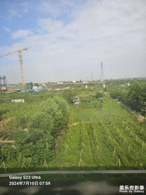 【七月風(fēng)光】+田園風(fēng)景