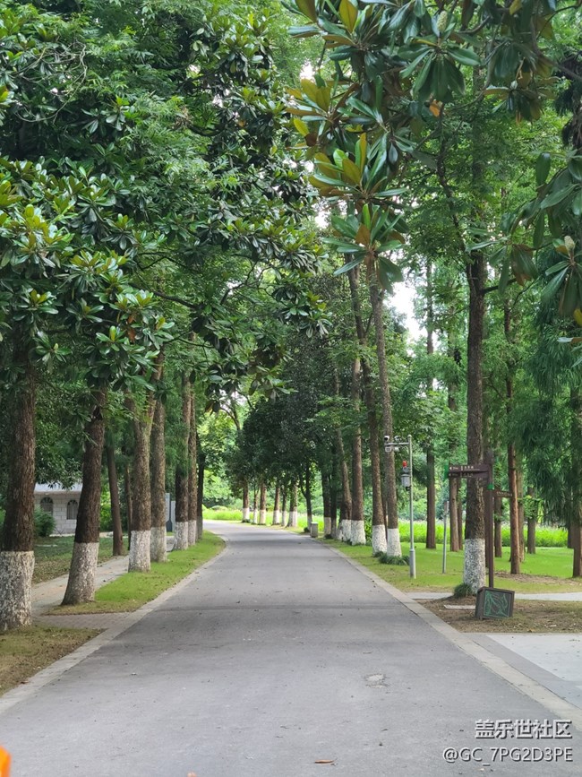 【盛夏光影之旅】夏天光影