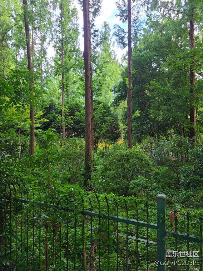 【盛夏光影之旅】夏天光影