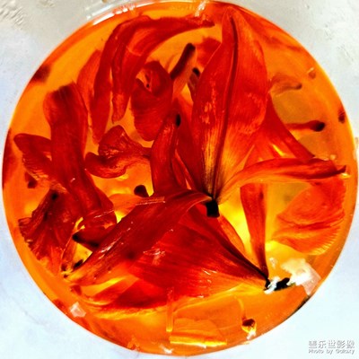 【七月風(fēng)光】+好飲食也有好風(fēng)光