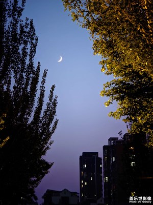 【夏日麗影】+ 夜晚的彎月高懸天際