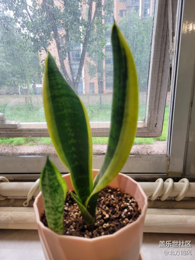 【通過AI挑戰(zhàn)密室】+三星手機有AI哦