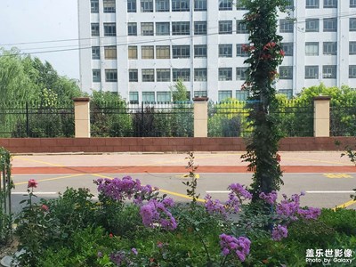 窗外的風(fēng)景