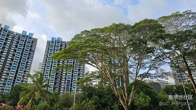 【夏日旅行】旅行夏日