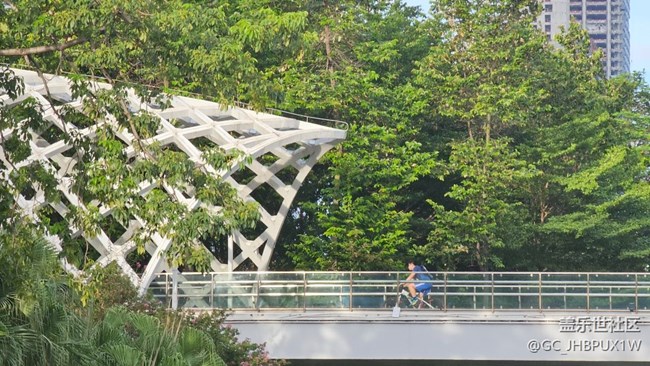 【夏日旅行】旅行夏日