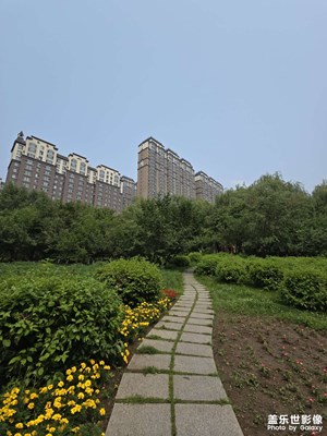 【七月風(fēng)光】公園隨拍