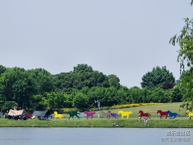 #心靜自然涼——綠色