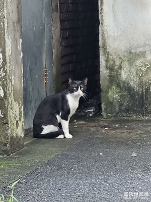 [七月風(fēng)光]嘉興漫游