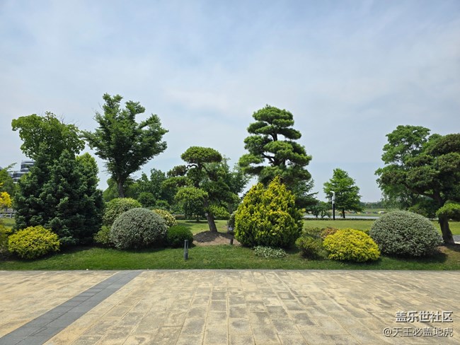 #心靜自然涼——綠色