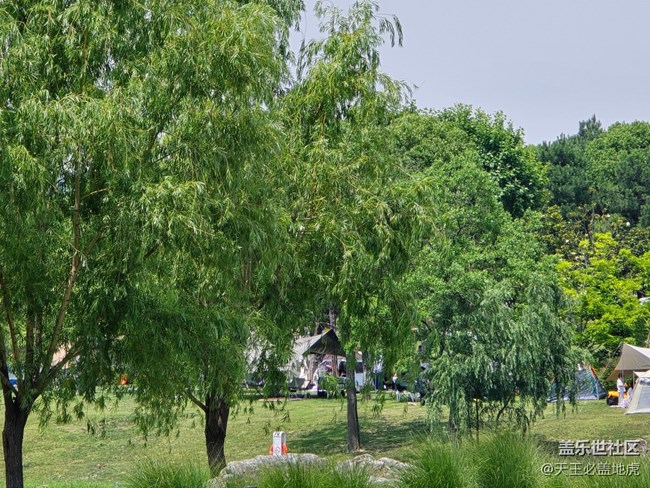 #心靜自然涼——綠色