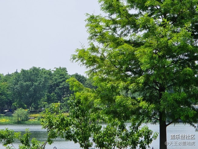 #心靜自然涼——綠色