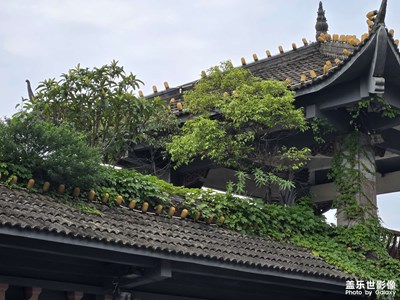 【夏日麗影】夏天的下午