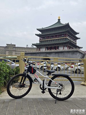 【夏日麗影】+s24隨拍