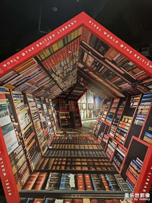 【夏日麗影】+一起看展覽