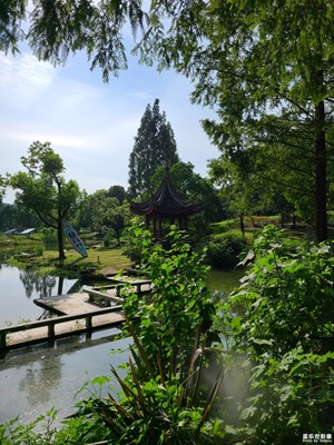 【七月風光】盛夏