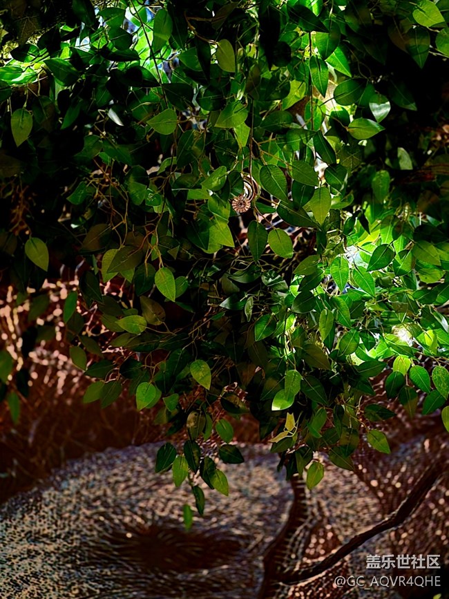 #心靜自然涼——看展