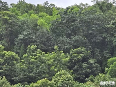 【夏日麗影】+沿路風(fēng)景