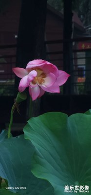 22u專業(yè)模式學習試拍！