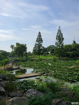 【七月風光】七月盛夏