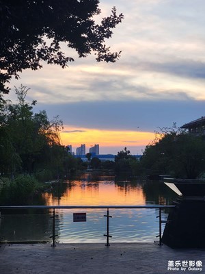 【7月風(fēng)光】小區(qū)景色