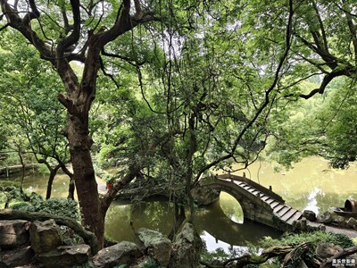 【最美一刻】+隨拍夏天