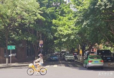 【七月風光】+盛夏下的青春