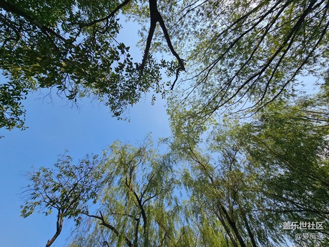 度酷暑，領(lǐng)星鉆