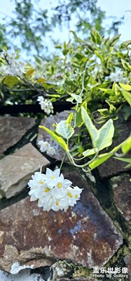 【最美一刻】+城鄉(xiāng)結(jié)合也有風(fēng)景