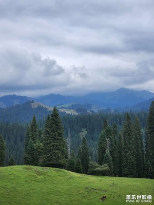【七月風(fēng)光】早知庫爾德寧，何必阿爾卑斯