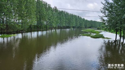 【七月風(fēng)光】+?

茅河美景