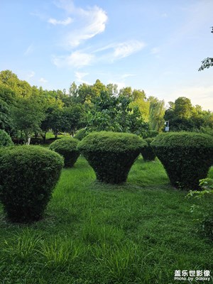 【最美一刻】+公園游