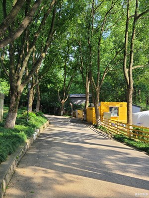 【七月風(fēng)光】盛夏