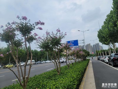 【七月風(fēng)光】七月的隨拍