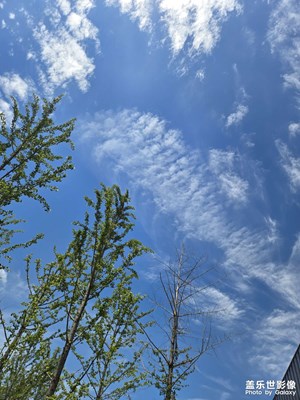 【最美一刻】+游桐鄉(xiāng)