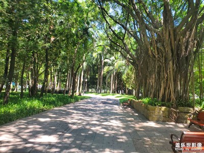 【最美一刻】深圳中心公園