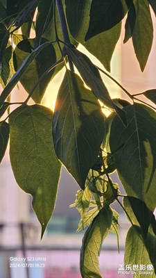 【七月風(fēng)光】七月風(fēng)光