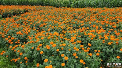 【最美一刻】+鄉(xiāng)村風(fēng)景