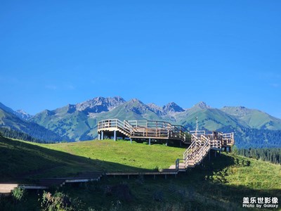 【最美一刻】雪嶺云杉