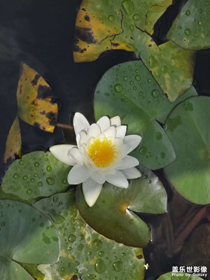 【最美一刻】夏