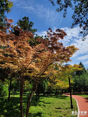 【七月風(fēng)光】雨過天晴
