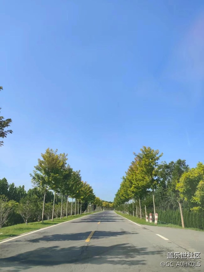 【夏天的綠色】公路片中的景
