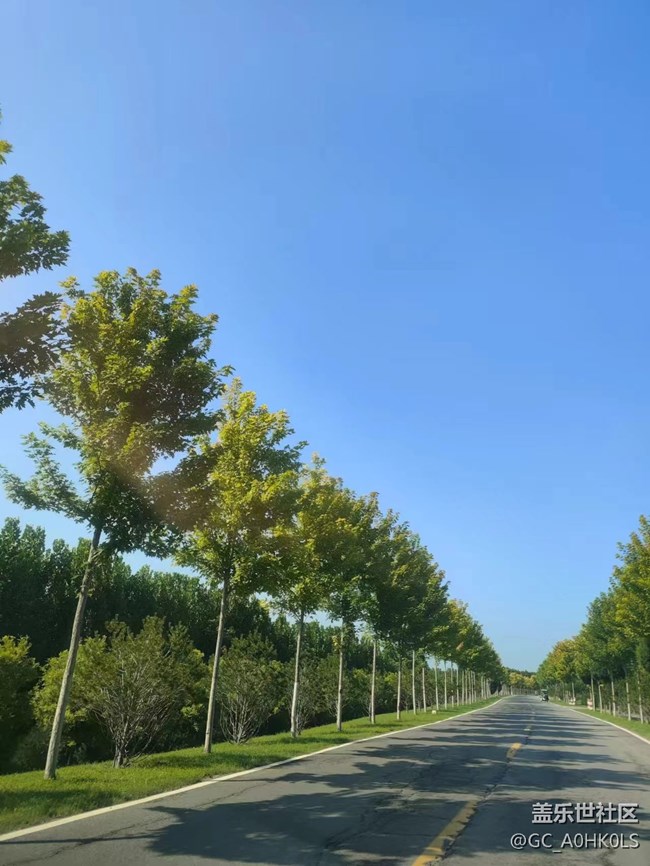 【夏天的綠色】公路片中的景